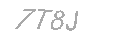 Güvenlik Kodu