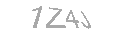 Güvenlik Kodu
