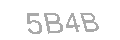 Güvenlik Kodu
