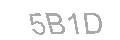Güvenlik Kodu