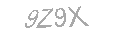 Güvenlik Kodu