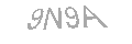 Güvenlik Kodu