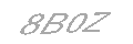 Güvenlik Kodu