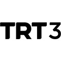 TRT 3